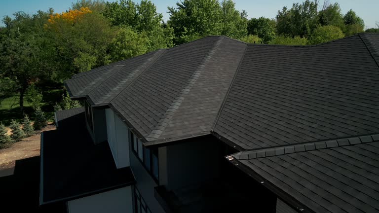 Best Roof Moss and Algae Removal  in Ashville, AL
