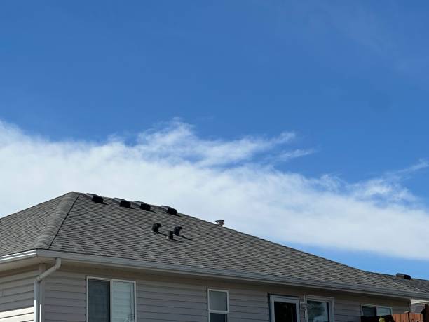 Best Chimney Flashing Repair  in Ashville, AL